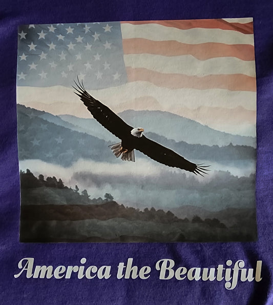 America the Beautiful