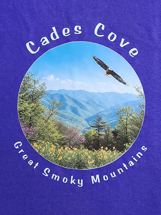 Cades Cove - Eagle