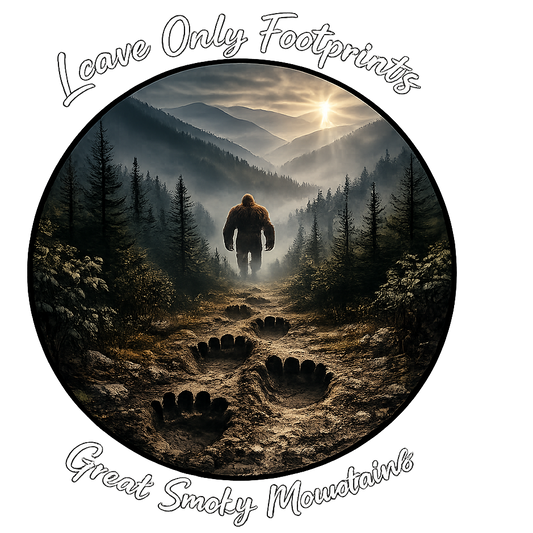 Leave Only Footprints